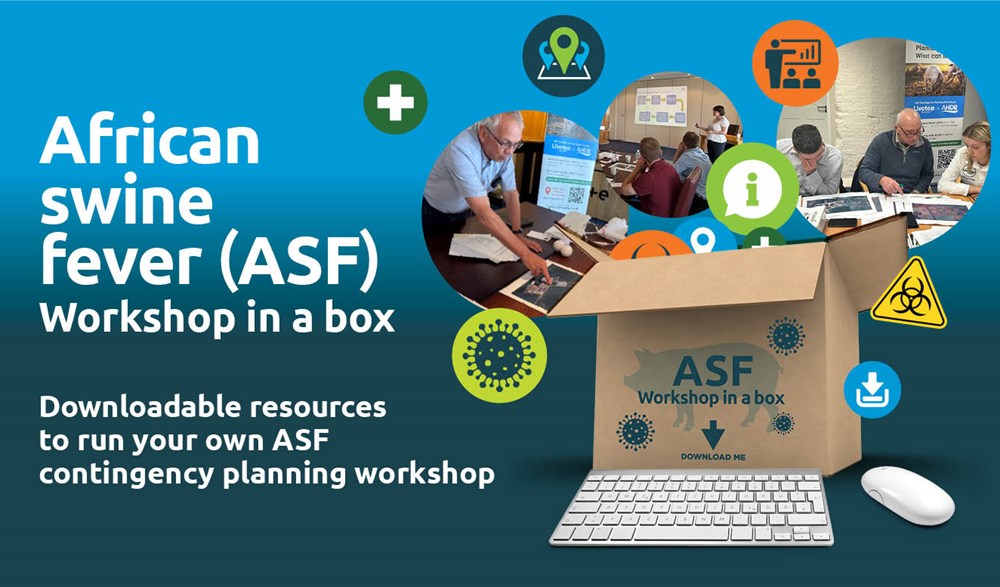  Graphic promoting ASF workshop in a box, images and icons coming out of a brown box.